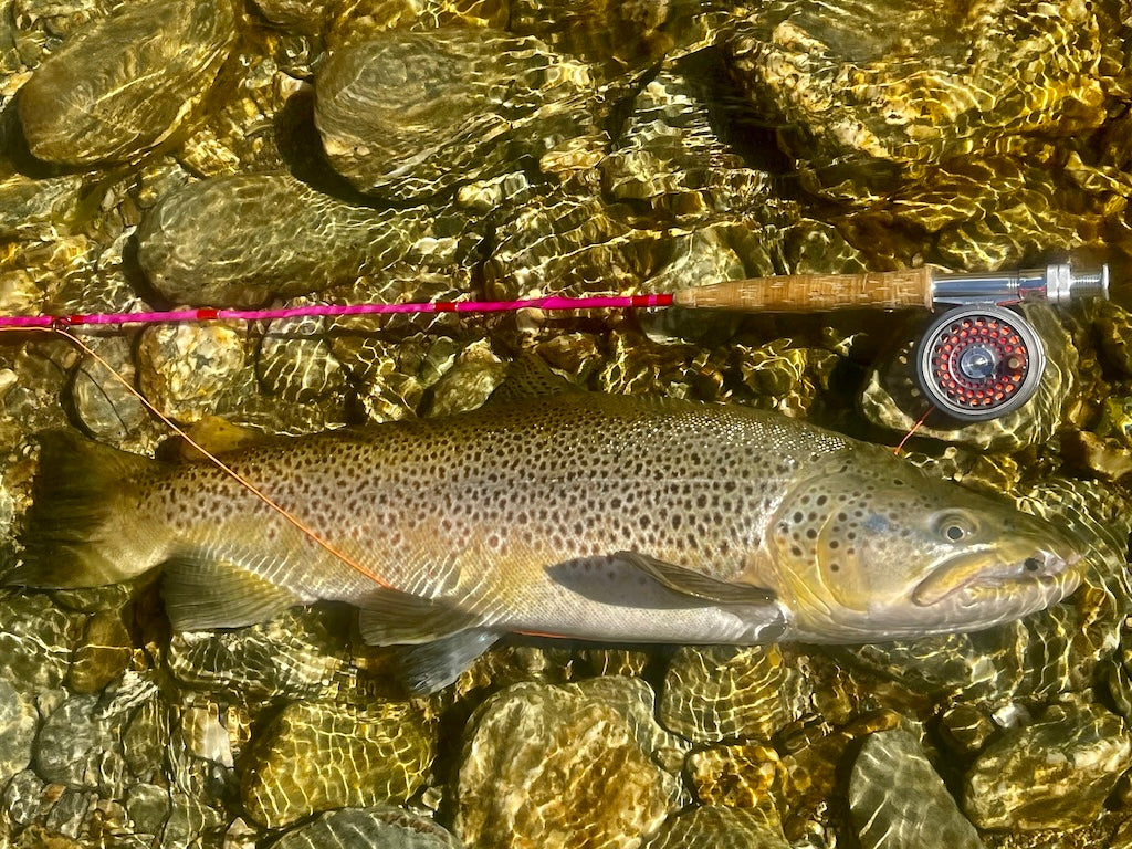 Loaded 8-S/M-South Island Specific NZ-Dry Fly Mix-Slim Fly Boxes.