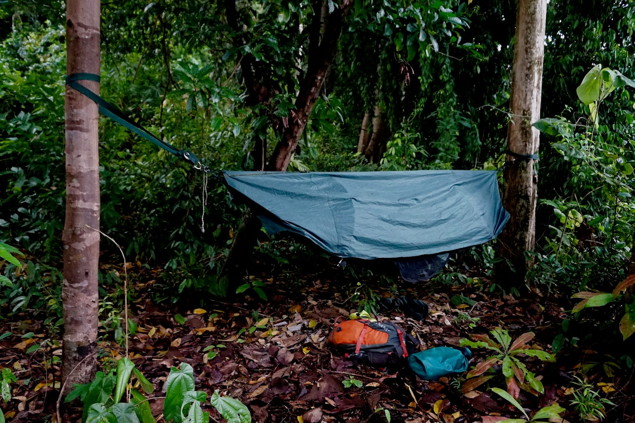 Jungle Blues
