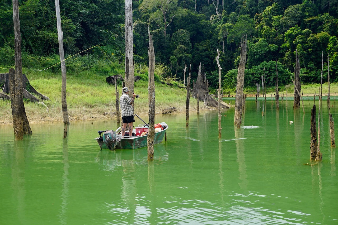 Jungle Blues
