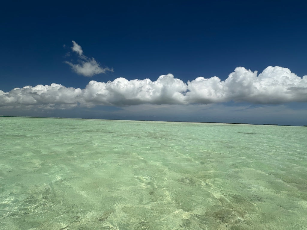 The Tropic's & Flats Mix Pack's