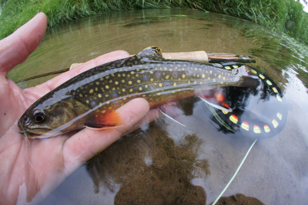 Loaded 7-S/M Dry Fly Mix-Slim Fly Boxes.