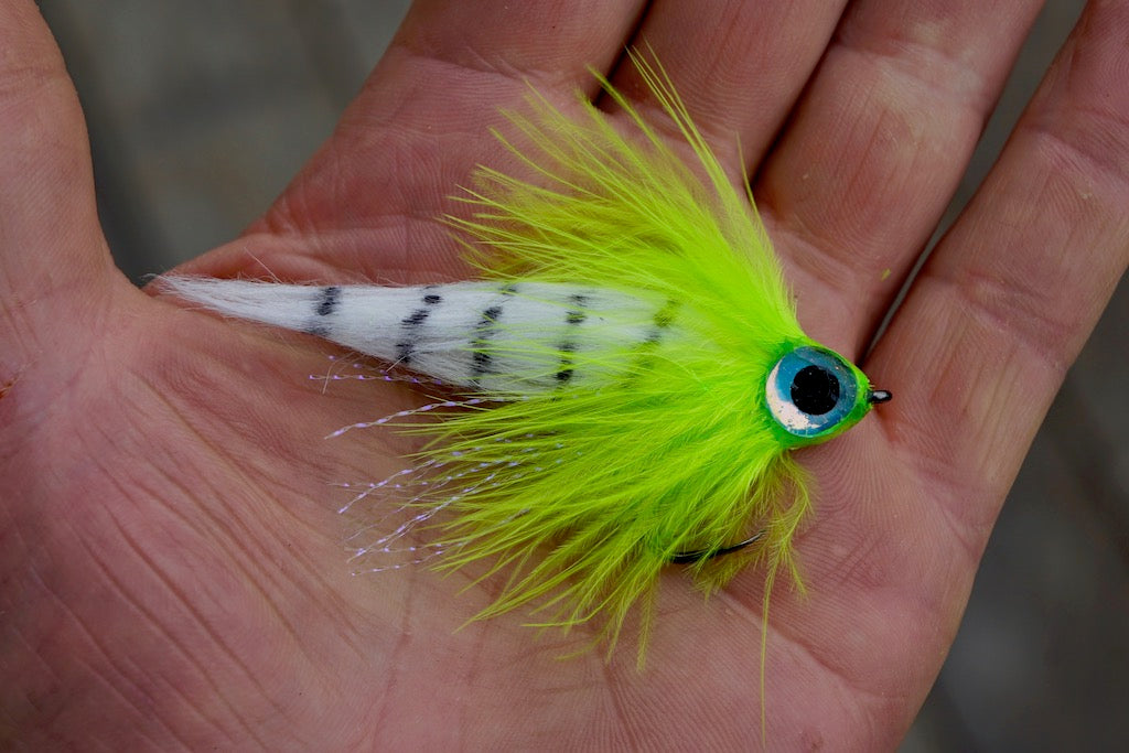Devastator Baitfish Fly Mix Pack's
