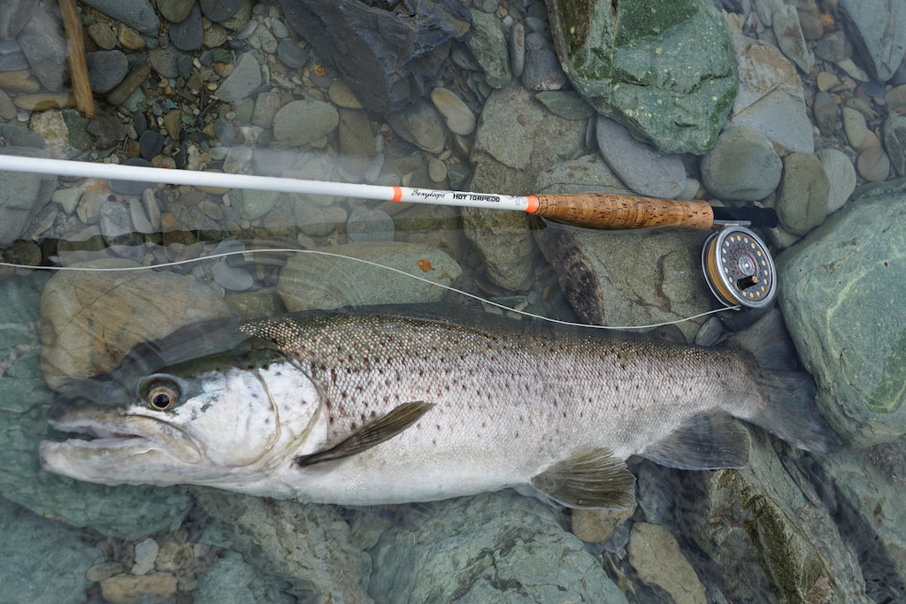 Sexy Minnow-The Ultimate Baitfish/Smelt