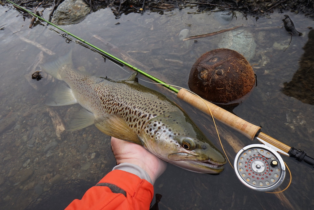 Deadly Mayfly Beaded Nymph Mix Pack's