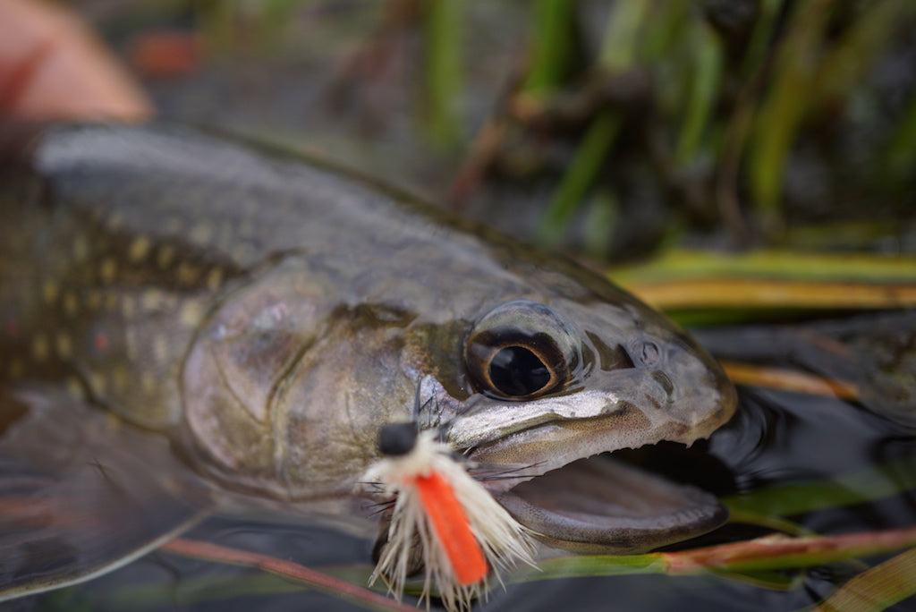 Hi-Viz Elk Hair Caddis