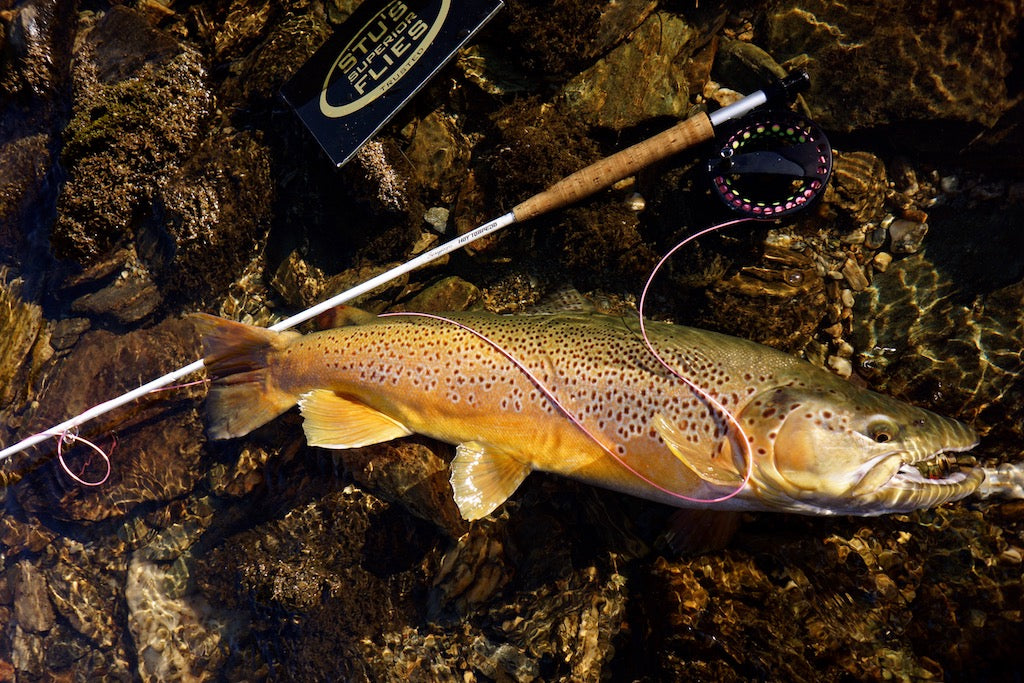 Stonefly/Mayfly Ninja Mix Pack's