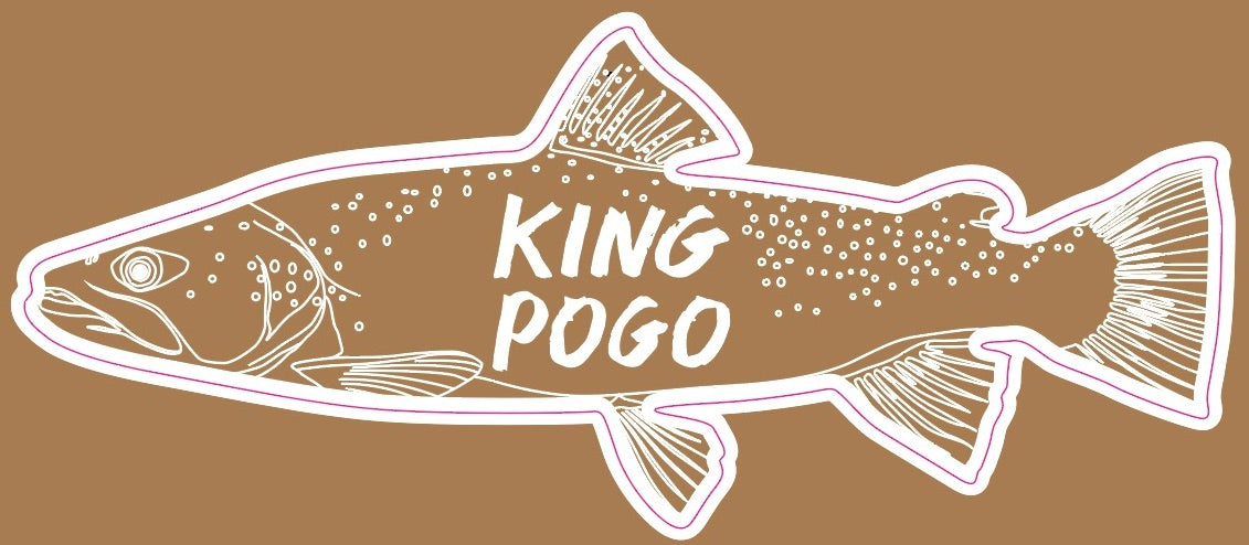 Pogo-Floating-Mayfly Nymph Mix Pack's