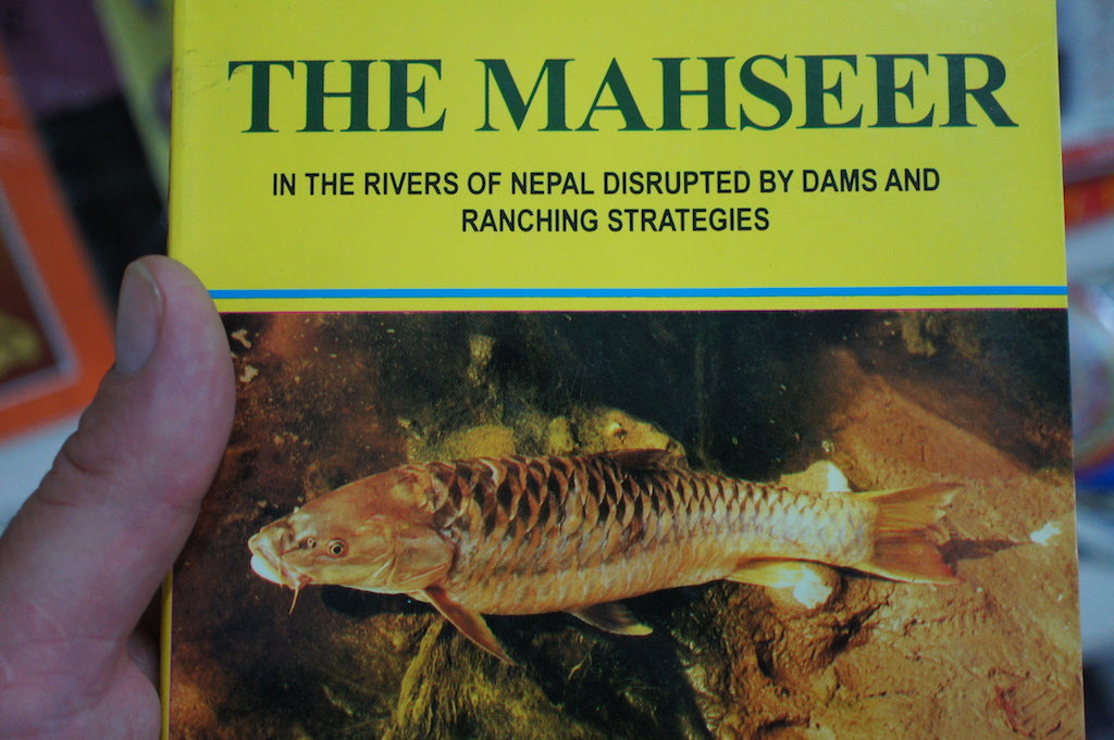Chasing Tigers