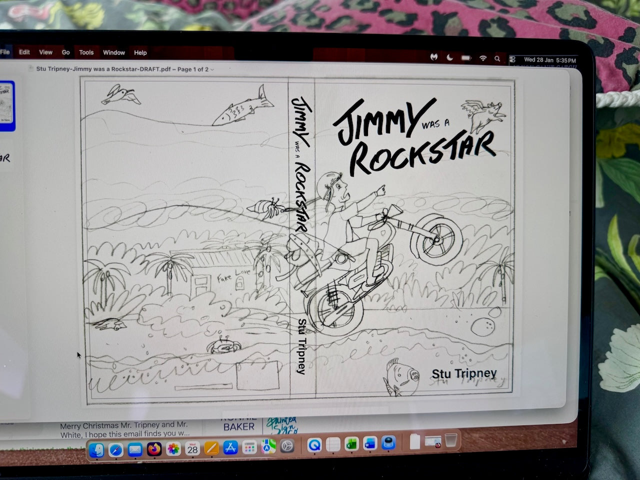 JIMMY WAS A ROCKSTAR