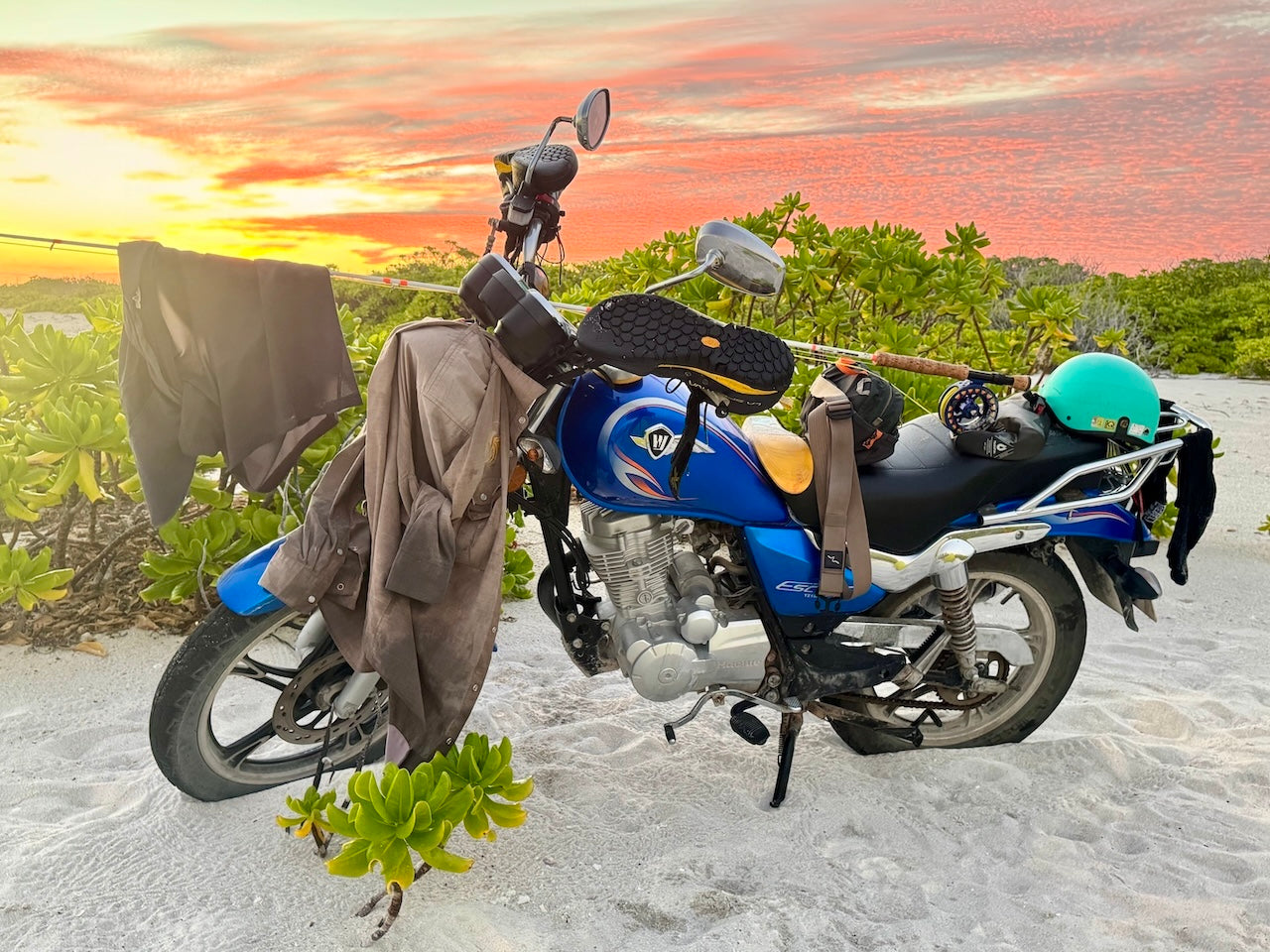 JIMMY WAS A ROCKSTAR