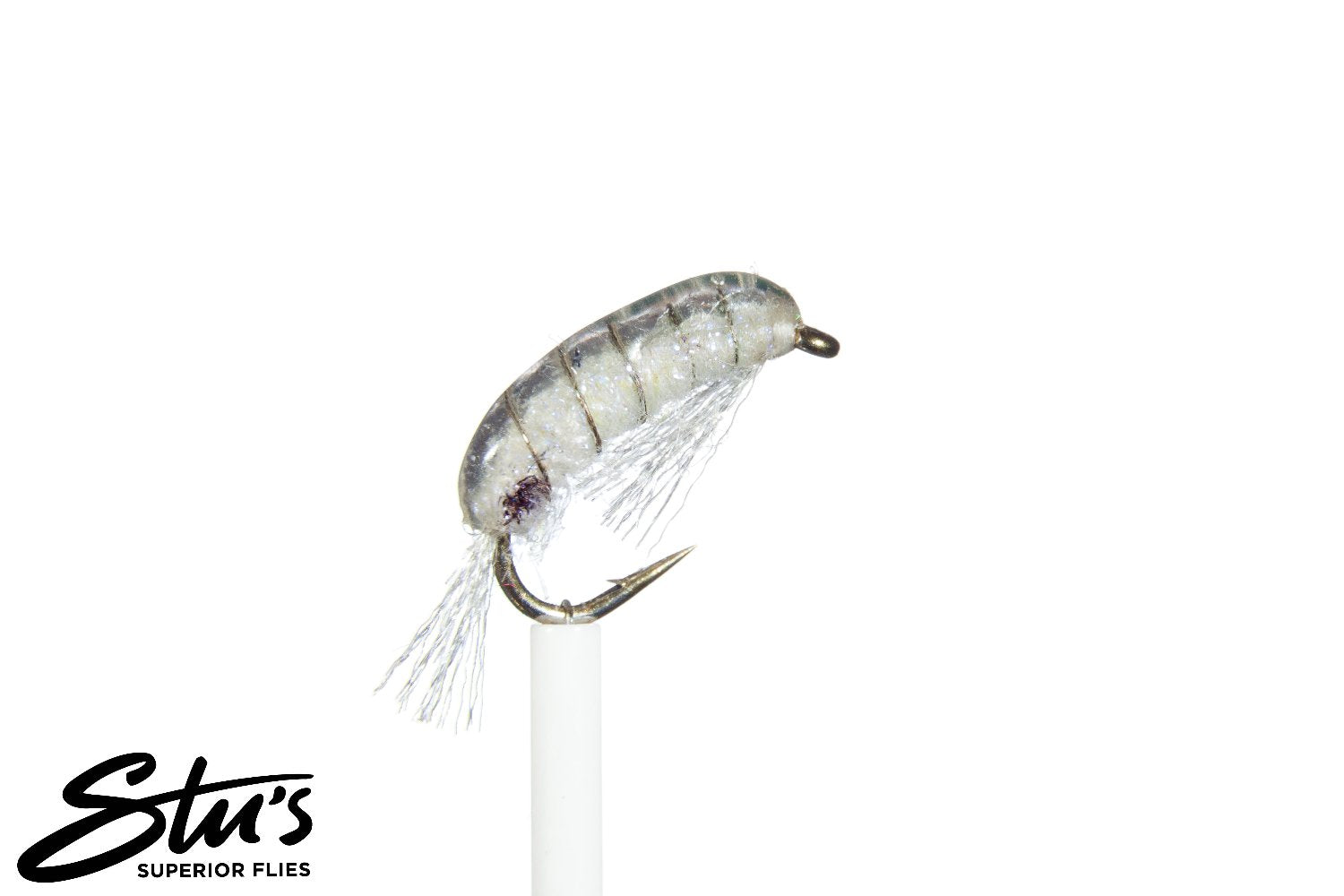 Deadly Scud-Freshwater Shrimp