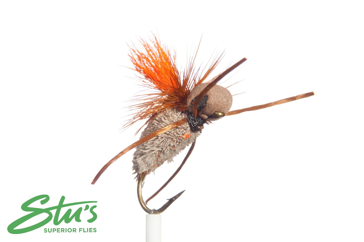 Deadly Cicada-Tan