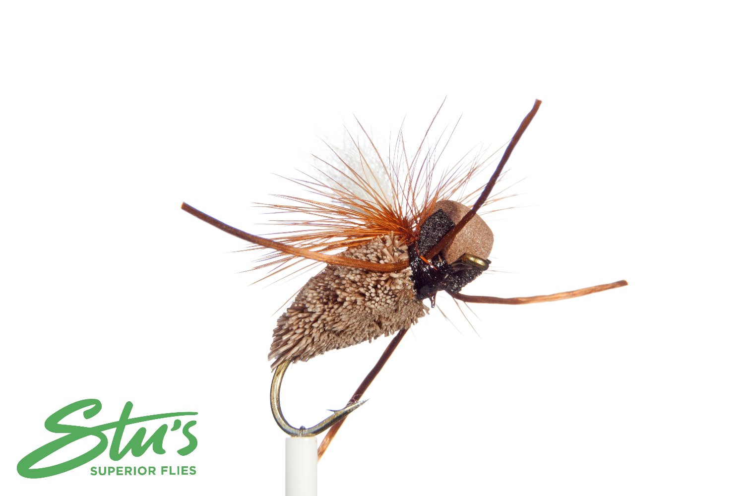 Deadly Cicada-Tan