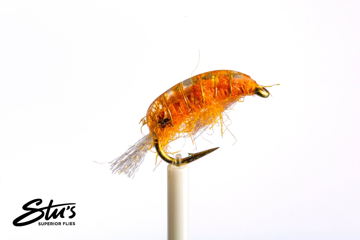 Deadly Scud-Freshwater Shrimp