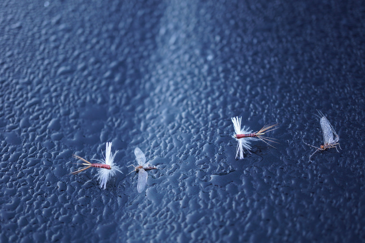 Deadly Mayfly Spent Spinner-Hi Viz