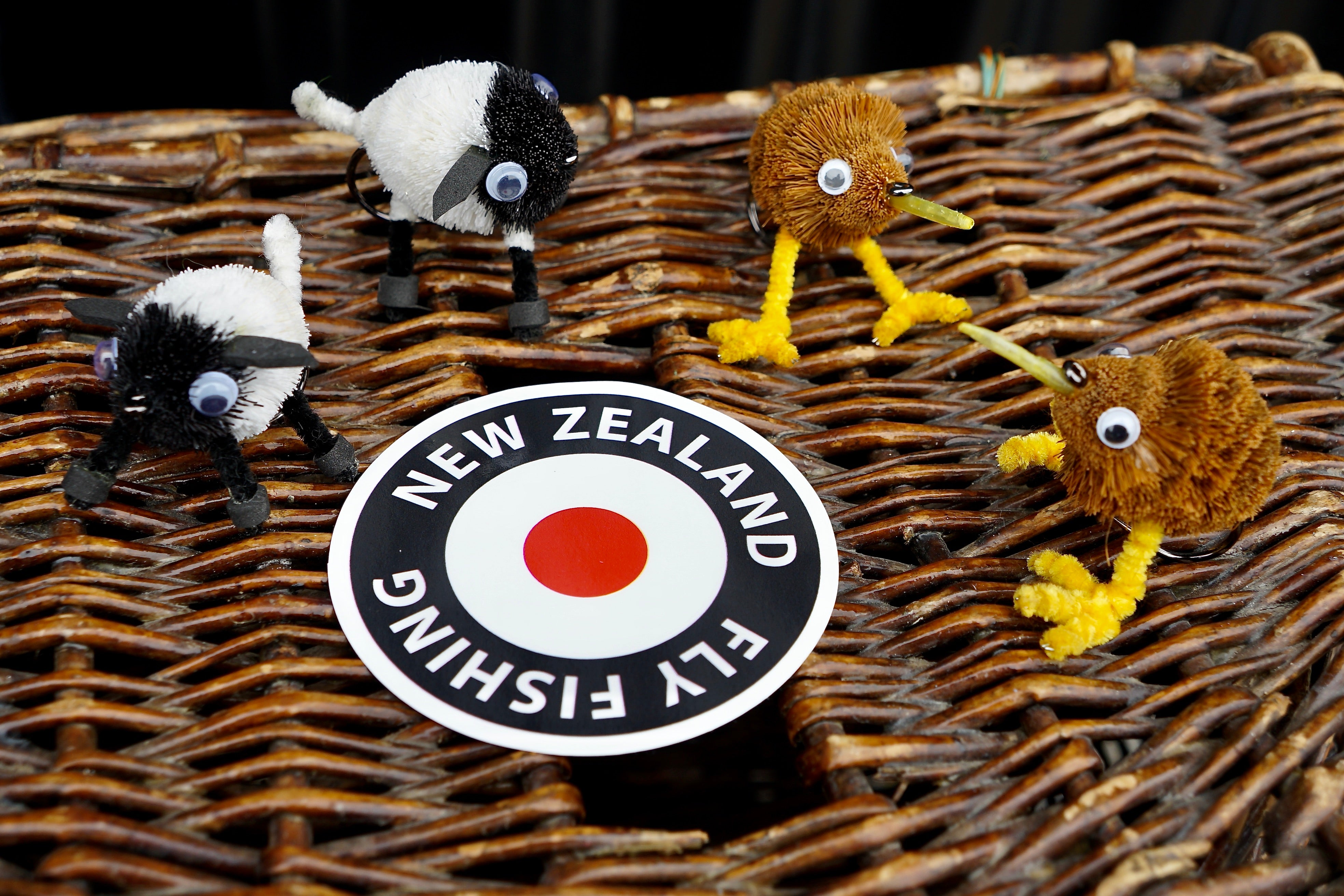 NZ Kiwi Bird-Fly Art