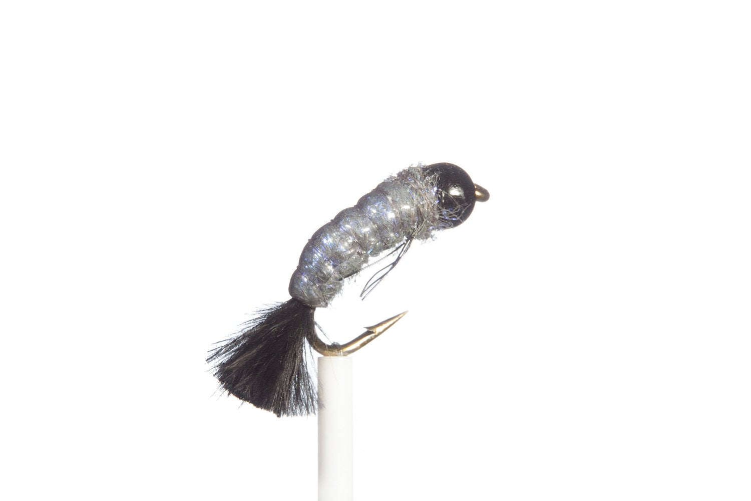 Caddis Larvae