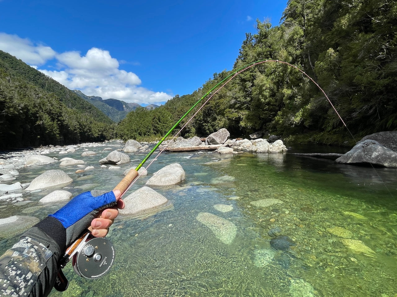 Trout Wonderland