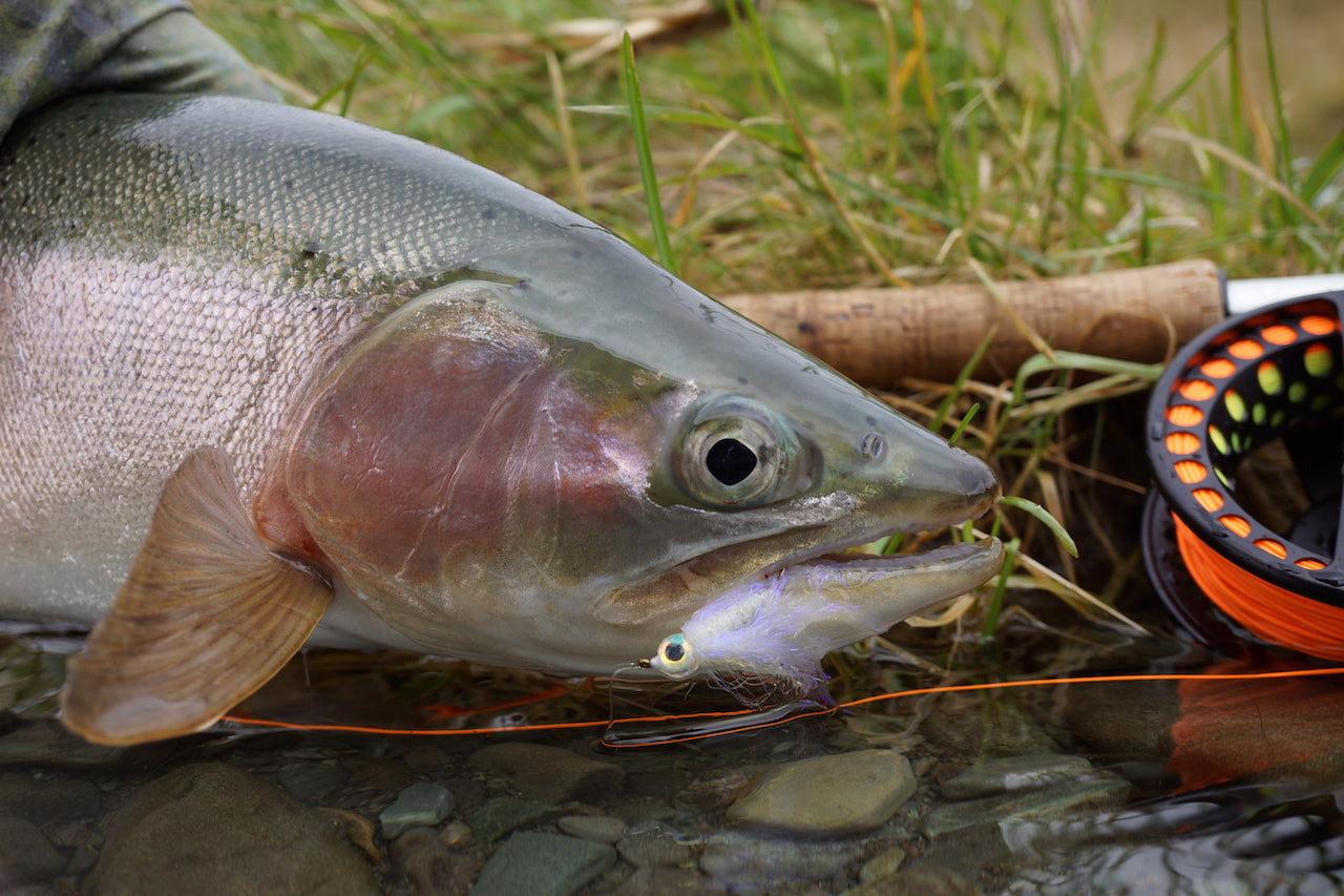 Killer Minnow-Glow In Dark & UV- Lumo Baitfish.