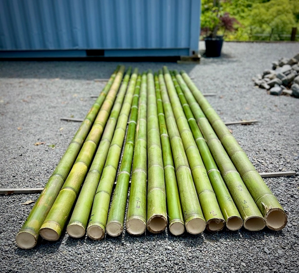 MOD FLY RODS