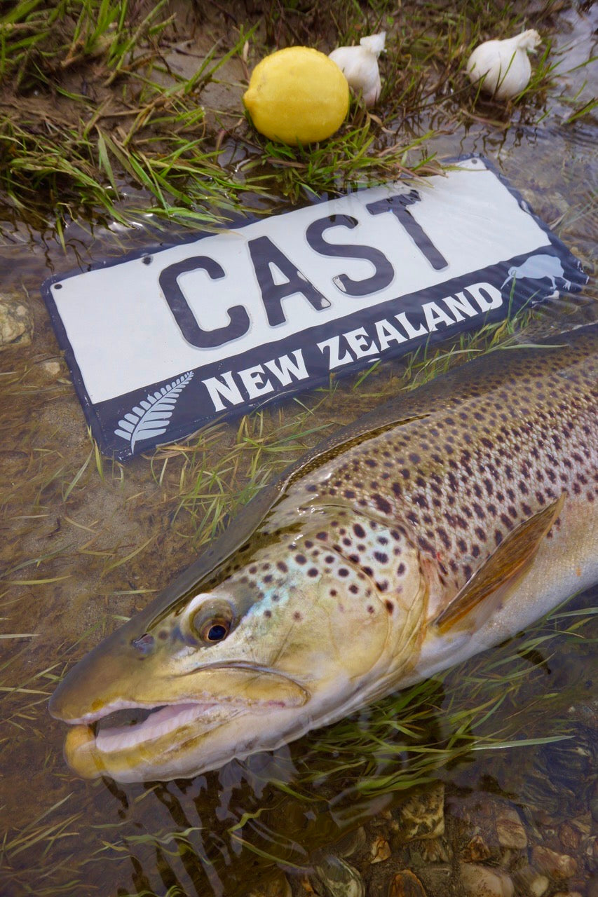 New Zealand Mix Pack's