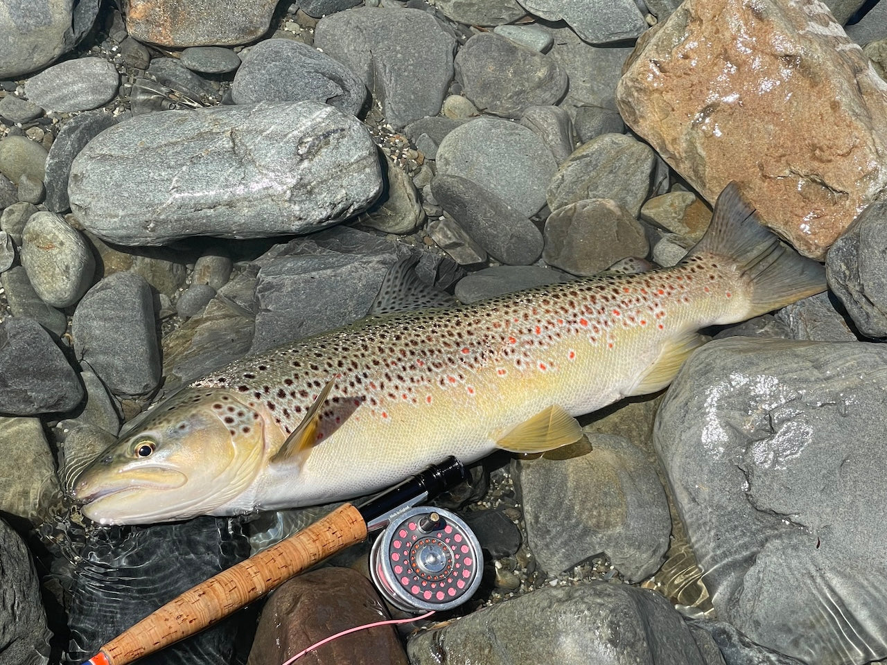 Deadly Mayfly Spent Spinner-Hi Viz