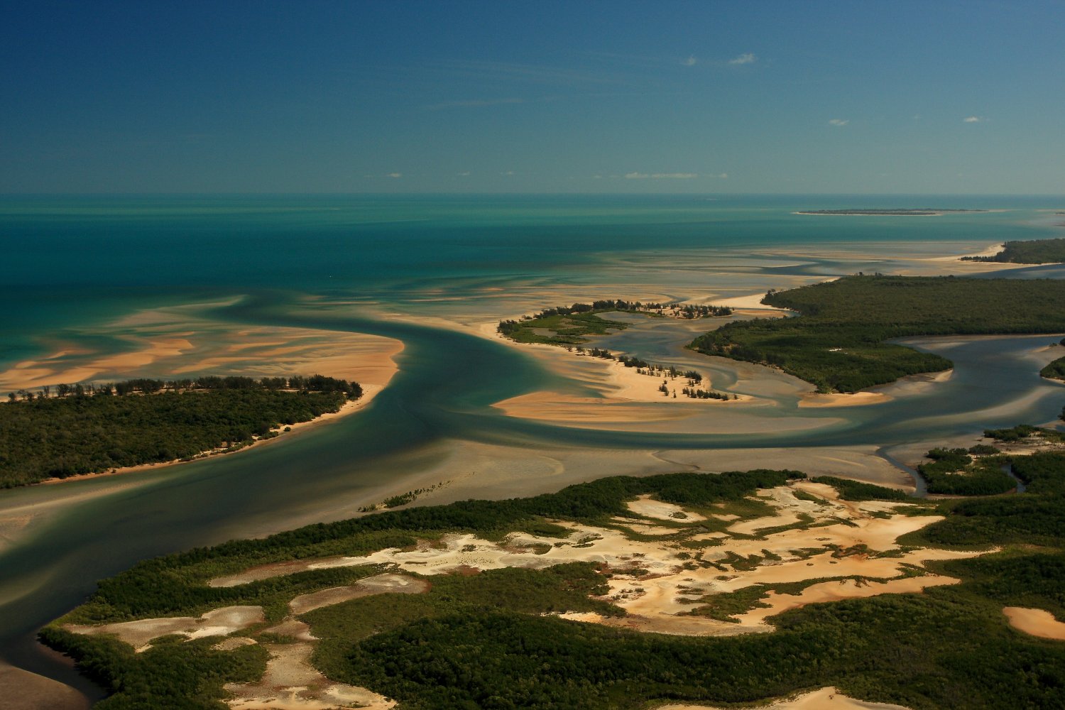 Barred Sand Shrimp