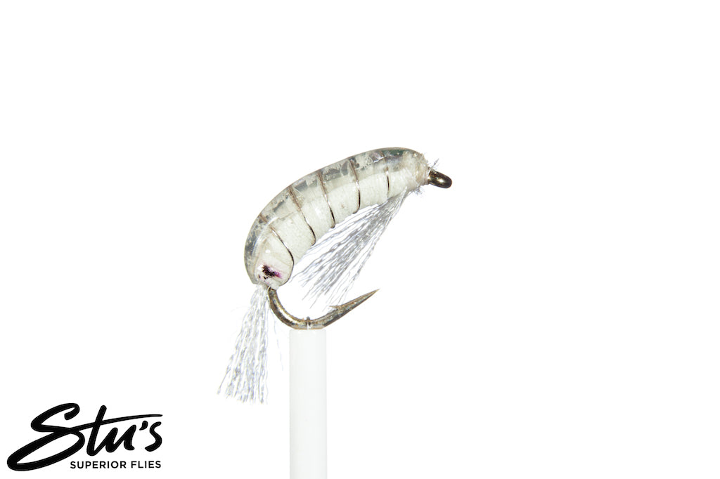 Deadly Scud-Freshwater Shrimp