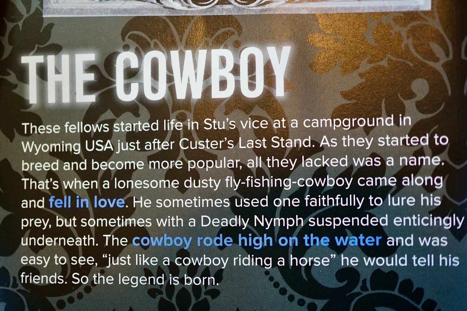 The Cowboy