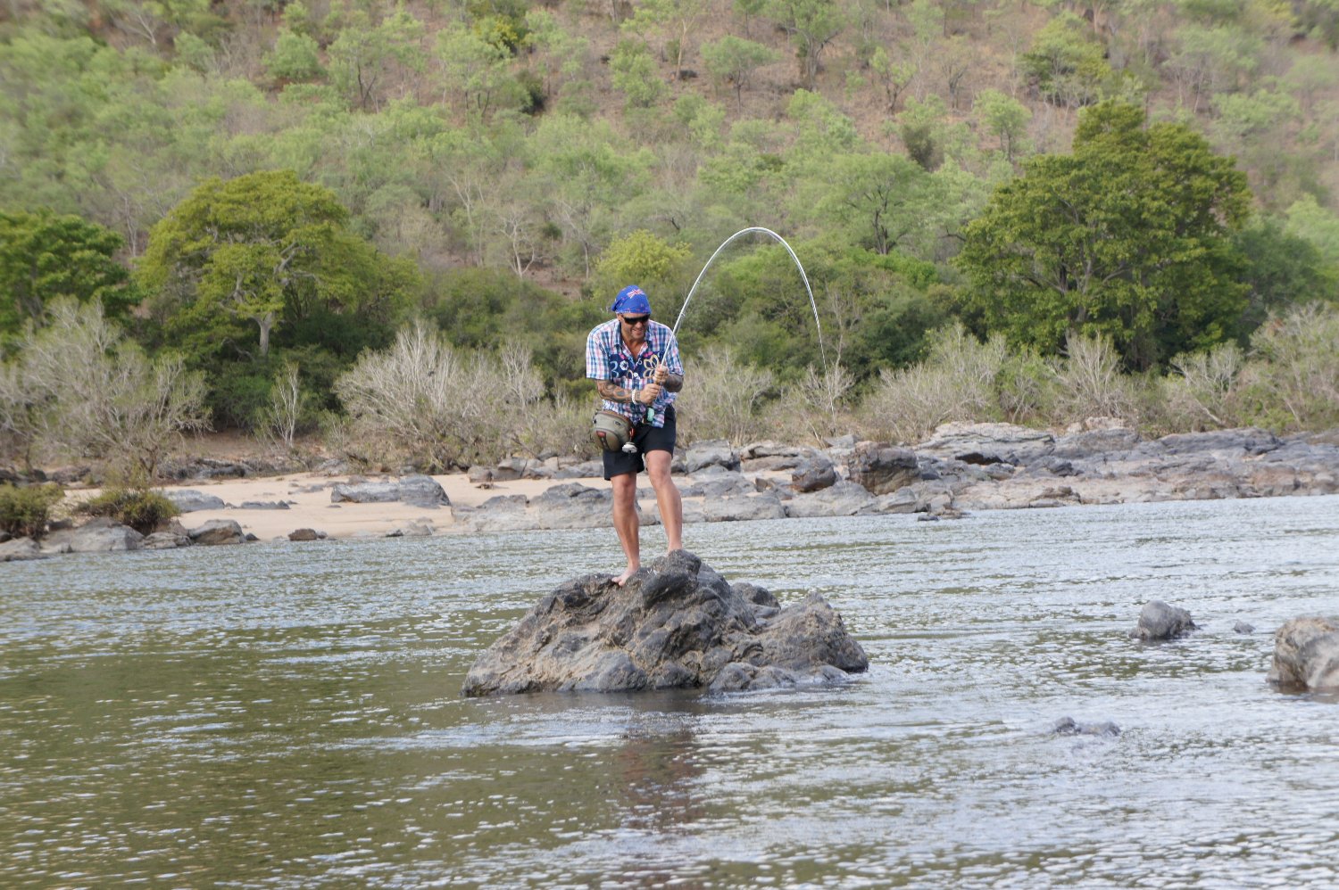 Rascal-Big-Crease/Popper Fly