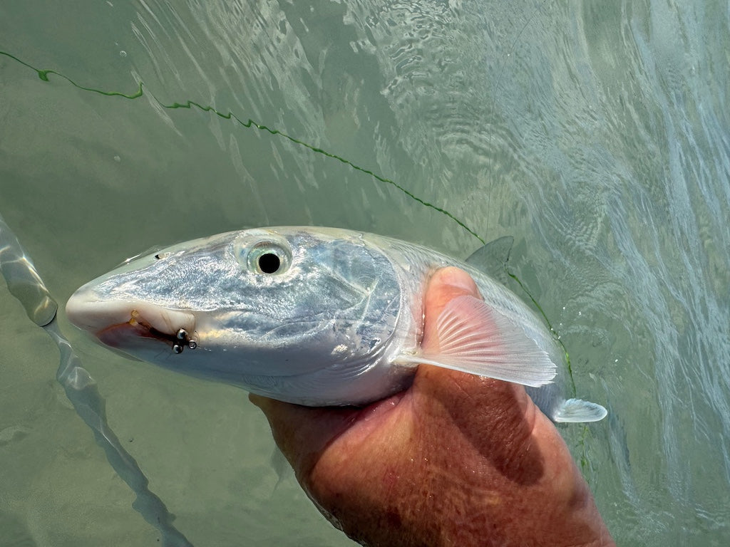 Loaded 11-Slim-Bonefish-Torpedo Shrimp-Fly Box-Mix