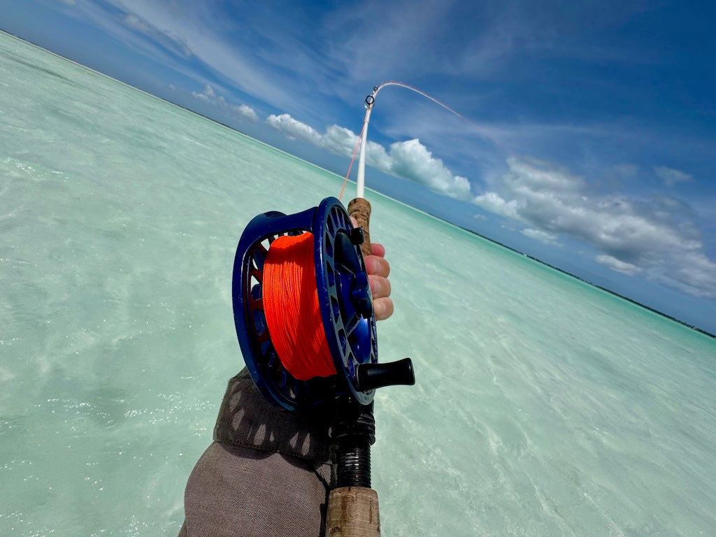 Loaded 11-Slim-Bonefish-Torpedo Shrimp-Fly Box-Mix