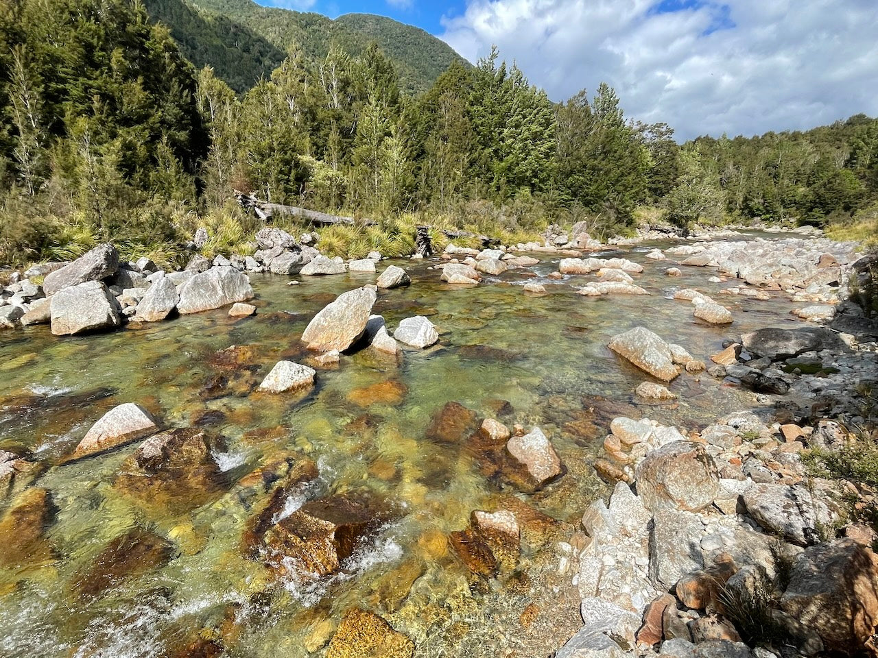 Trout Wonderland