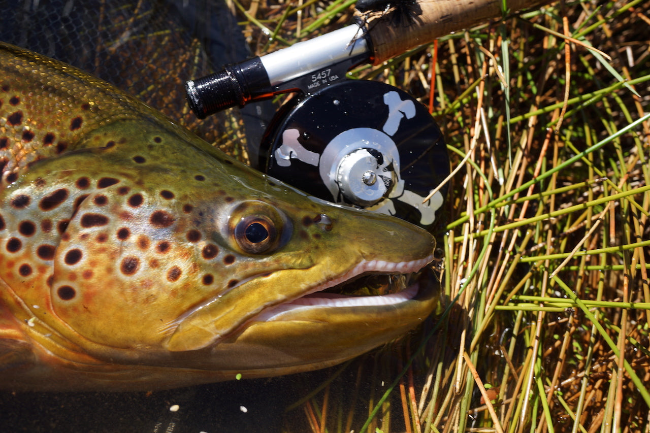 Loaded 3-River S/M Nymph Mix-Slim Fly Boxes.