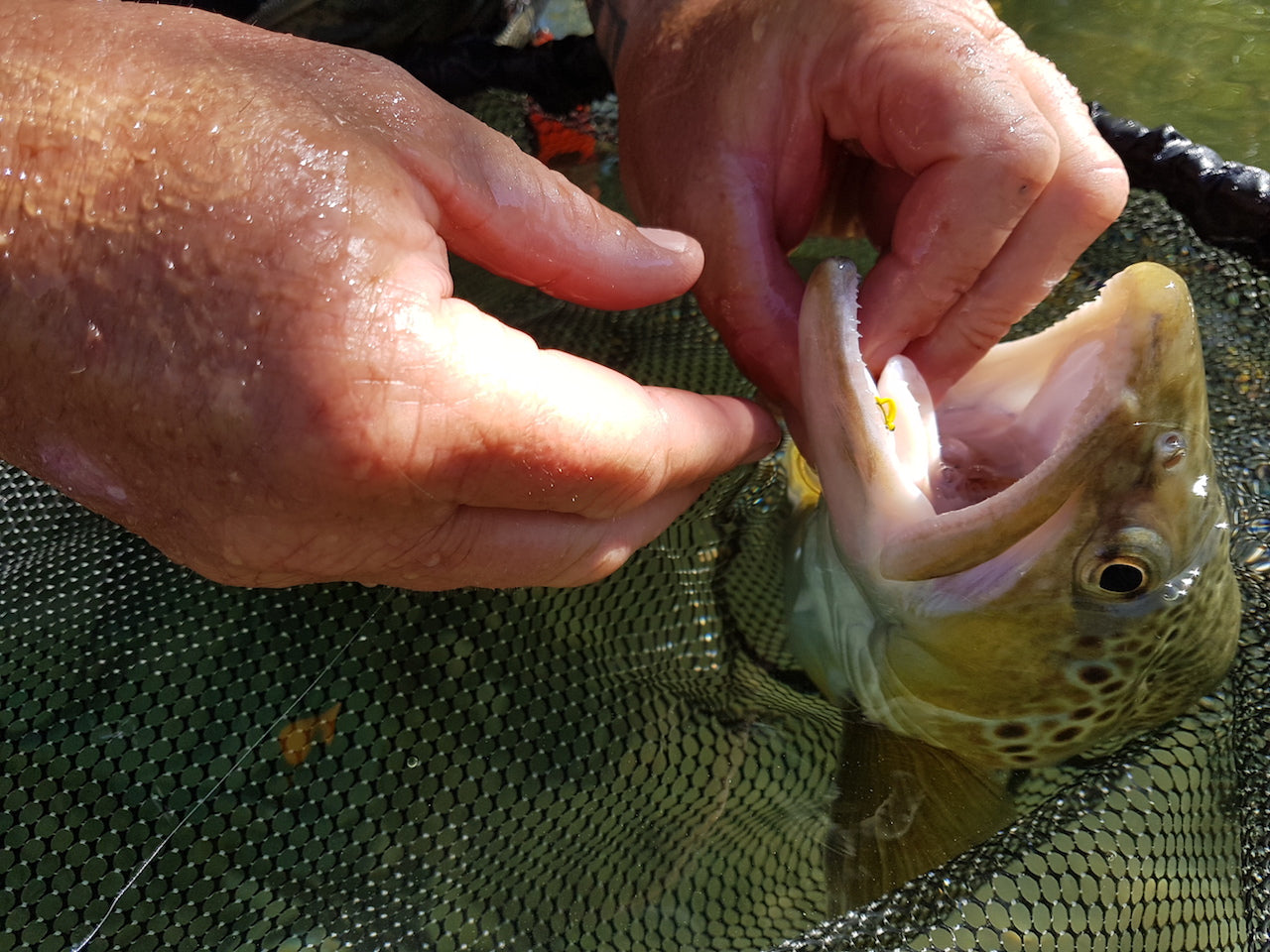 Floating Willow Grub Fly-Famous Original Banana Fly