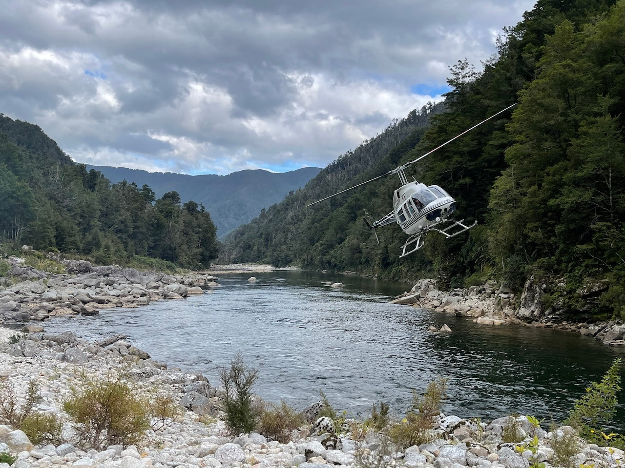 Trout Wonderland