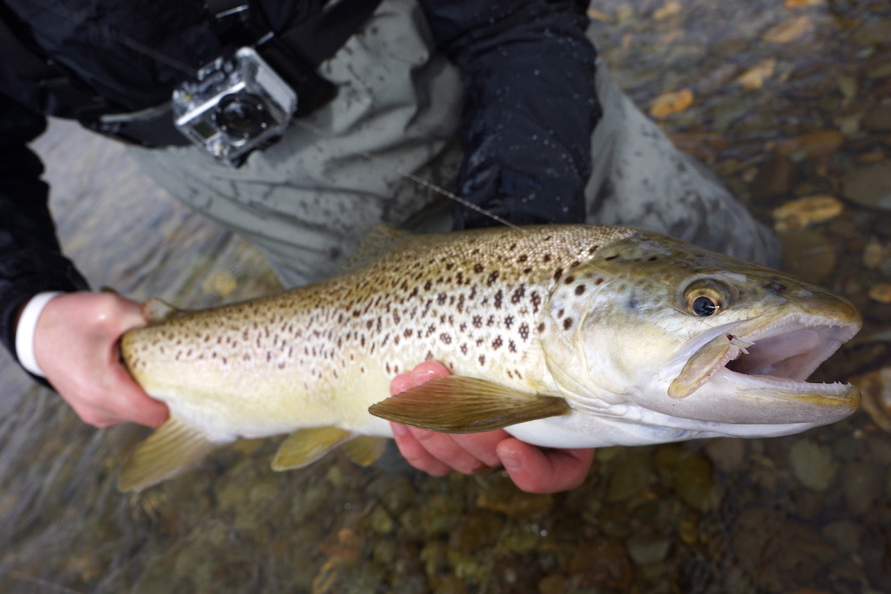 Deadly Mayfly Spent Spinner-Hi Viz