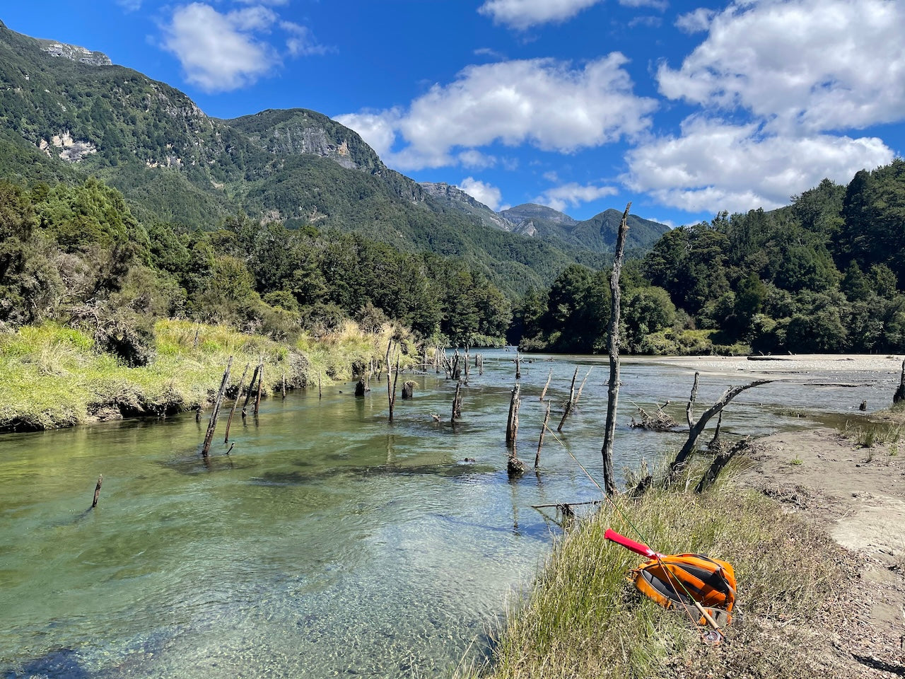 Trout Wonderland