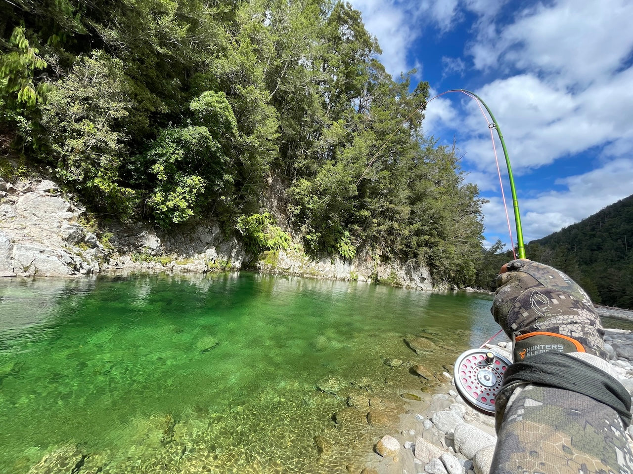 Trout Wonderland