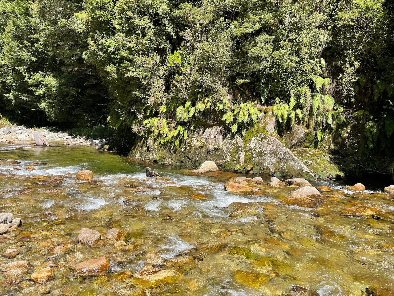 Trout Wonderland