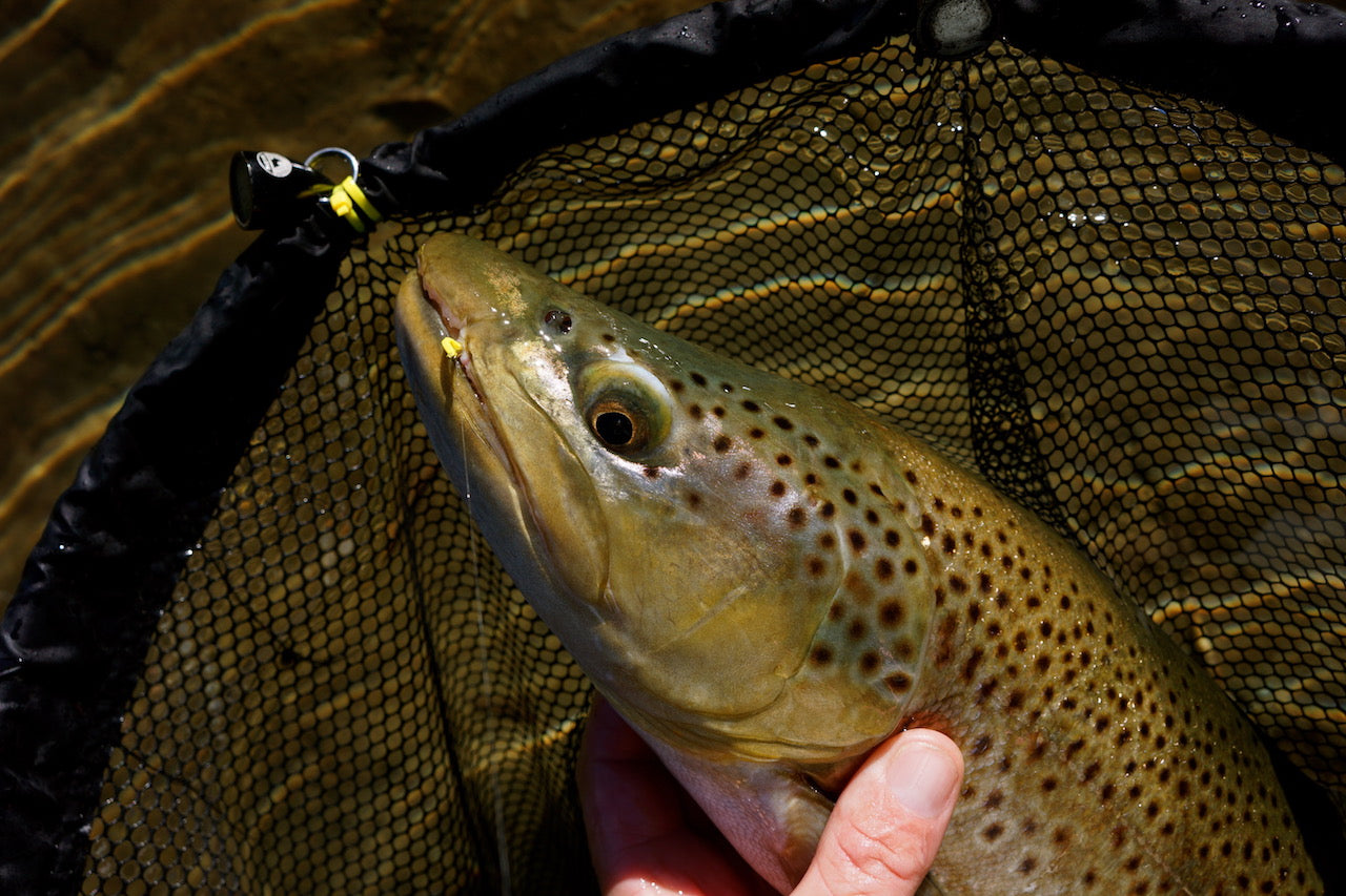 Floating Willow Grub Fly-Famous Original Banana Fly